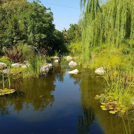 Domain U Tempu Persu Sleeps 12 With Park Porticcio (Corsica)